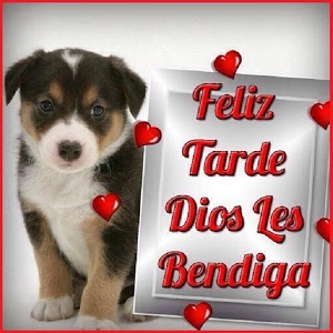 Feliz tarde imágenes, saludos y frases para amigos y novios